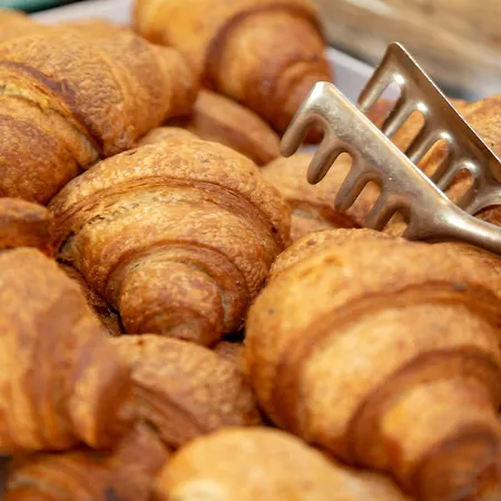 Ariston And Palazzo Santa Caterina فندق